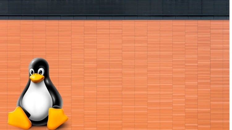 Complete Ubuntu Course