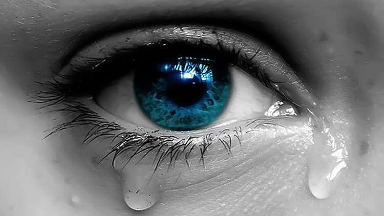 Be Gentle with Me, I'm Grieving - Free Udemy Course [100% Off]