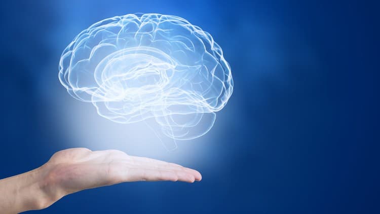 Hypnotic Pain Relief Free Udemy Course - 100% Off Coupon