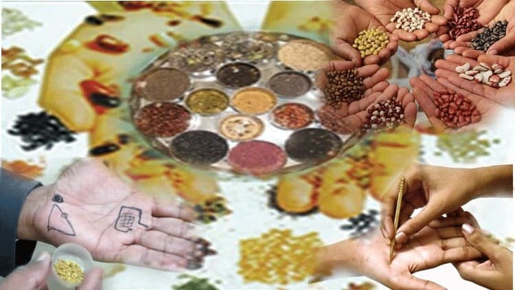 Certificate In Su Jok Seed Therapy - Free Udemy Course 100% Off