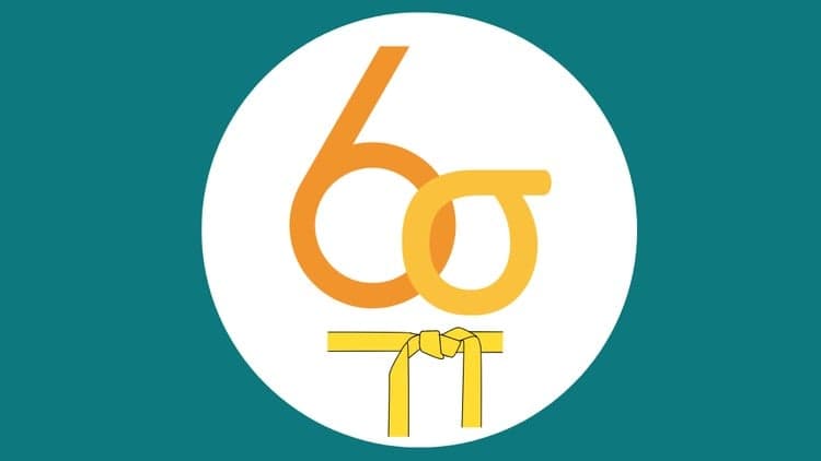 Lean Six Sigma Yellow Belt - Free Udemy Course [100% Off]