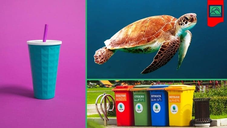 Plastic Waste Pollution - Free Udemy Course 100% Off