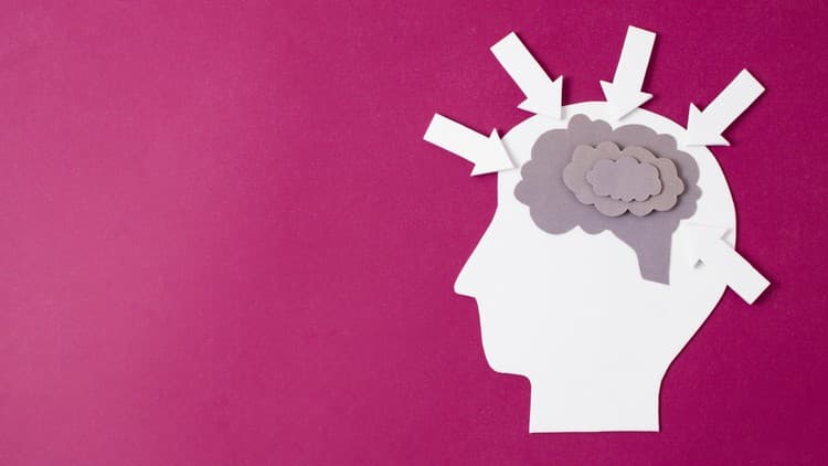 Neuroplasticity Ultimate Certification Course - Free Udemy Course [100% Off]
