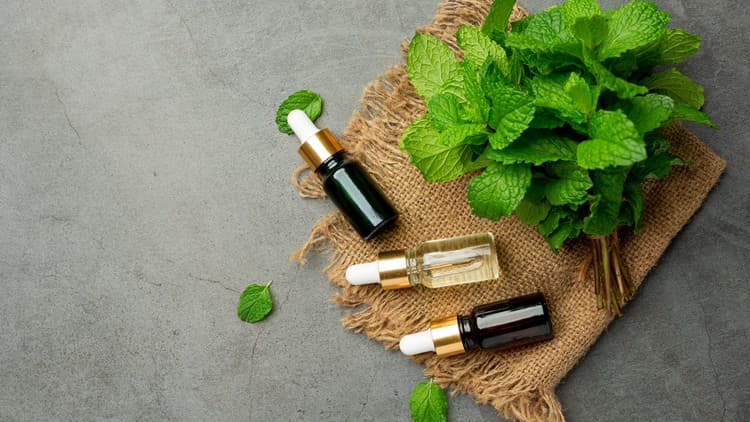Aromatherapy: Free Udemy Course - 100% Off Coupon