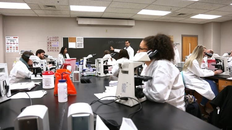 Medical Lab Technician