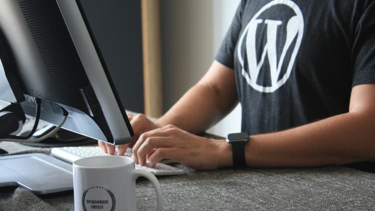 सीखें WordPress हिन्दी में