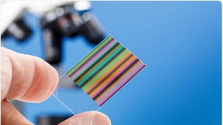 Molecular Biology & Chromatography Techniques Course