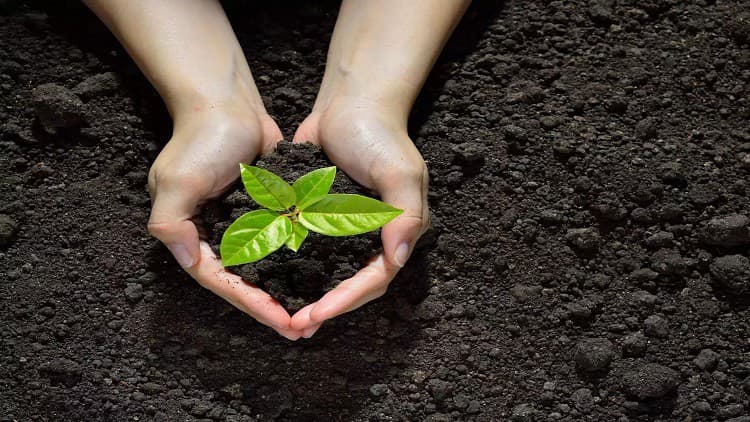 ISO 14001 Implementation - Free Udemy Course [100% Off]