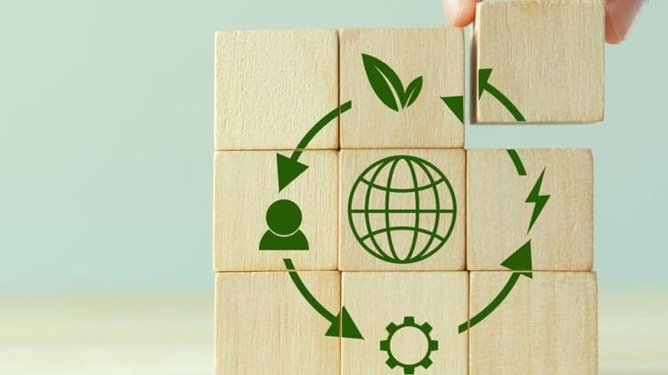 Understanding Economic Sustainability - Free Udemy Course [100% Off]