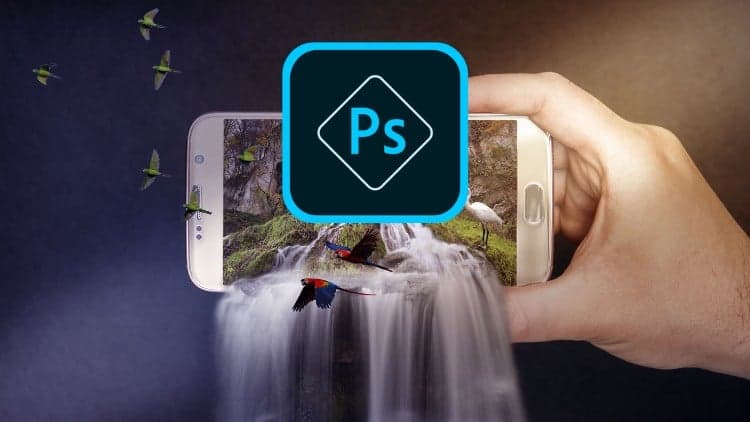 Learning Photoshop Express from Scratch