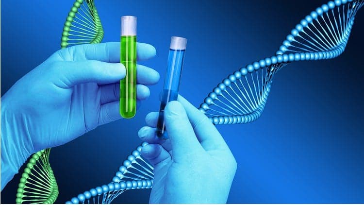 Patent Strategies in Biotechnology - Protecting Innovations