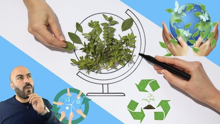 ISO 14001:2015 The Environmental Stewardship Blueprint