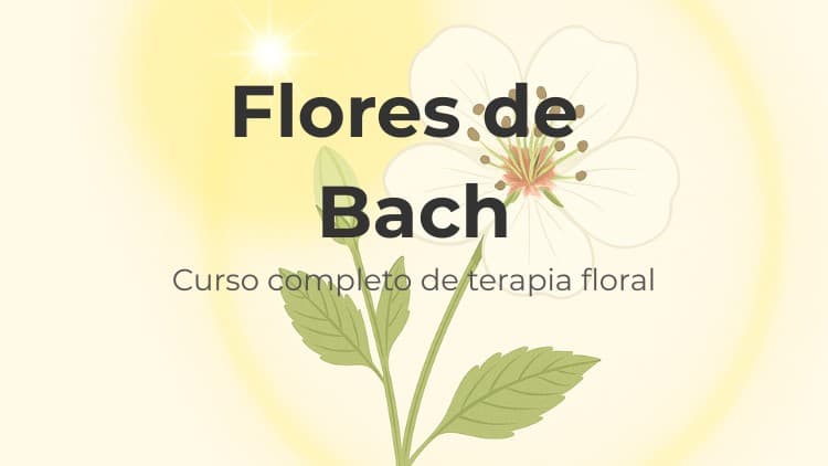 Flores de Bach: Curso Completo de Terapia Floral - Free Udemy Course [100% Off]