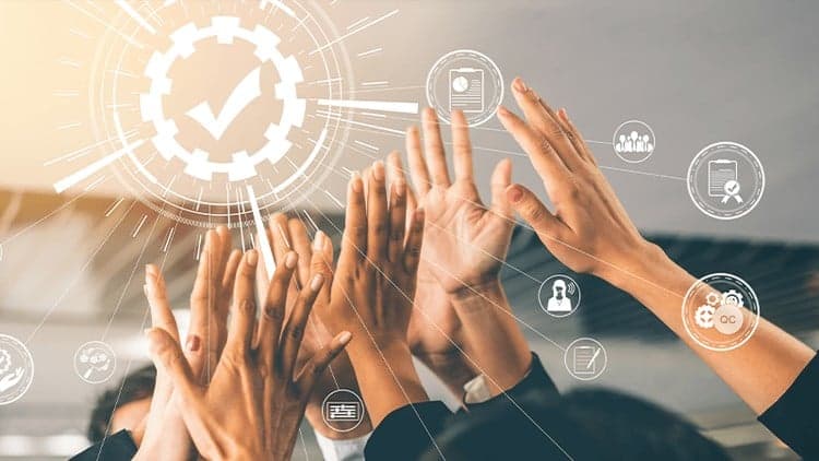 Quality Management Systems - Free Udemy Course [100% Off]