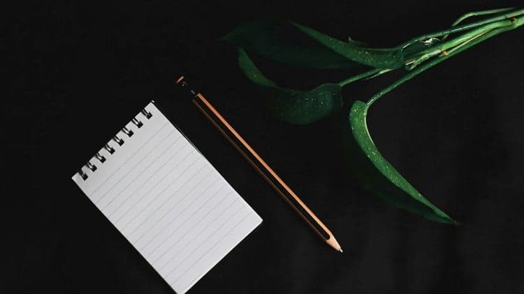 Master Management Skills - Free Udemy Course [100% Off]