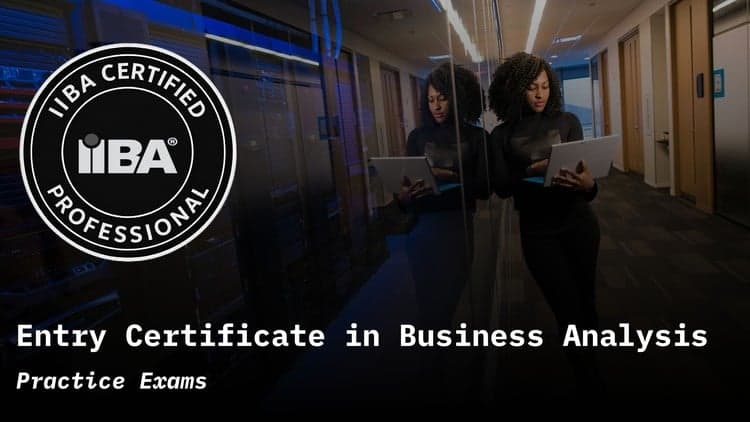 IIBA Entry Certificate Business Analysis - Free Udemy Course 100% Off