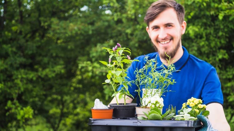 Hydroponics & Horticulture: Modern Farming Techniques 101