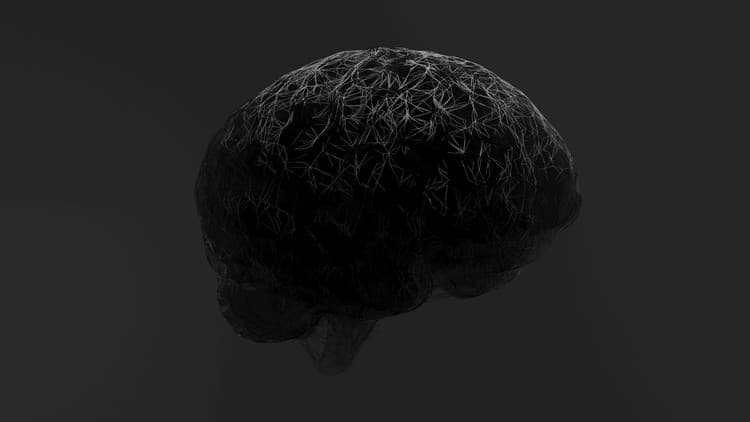 CBT Course: Free Udemy [100% Off Coupon]