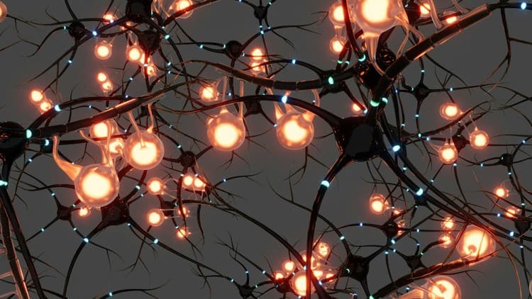 [NLP Certification] Free Udemy Course 100% Off