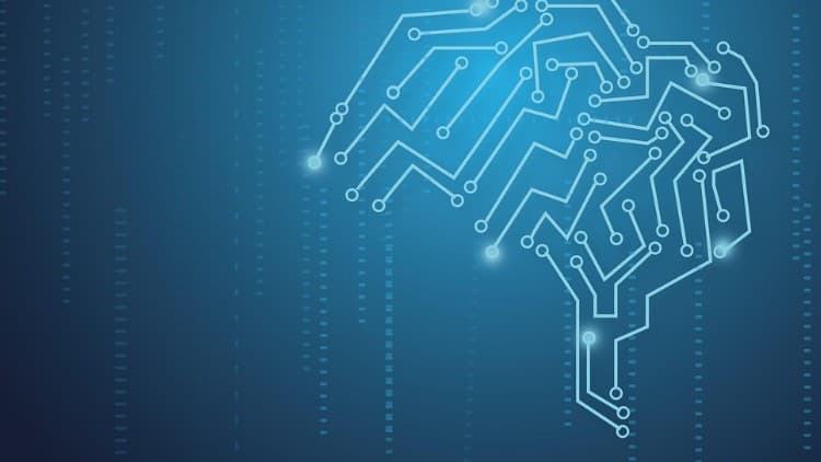 Complete Data Science Bootcamp: For Beginners (AI, ML, DL)