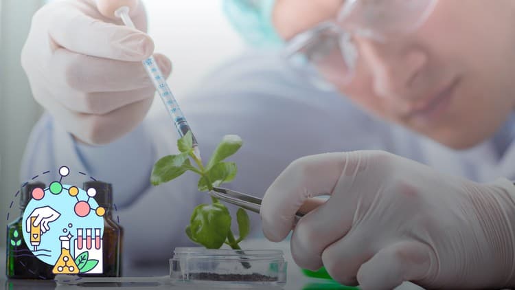 Biotechnology and Molecular Life Sciences for Success