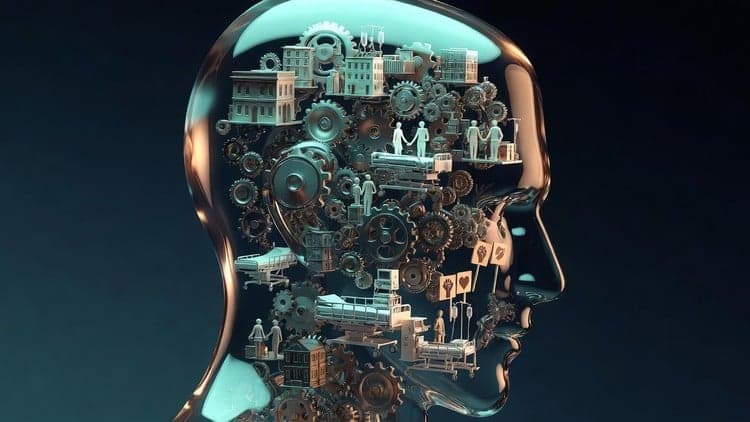 Comprehensive Sociology: Society, Health & Inequality