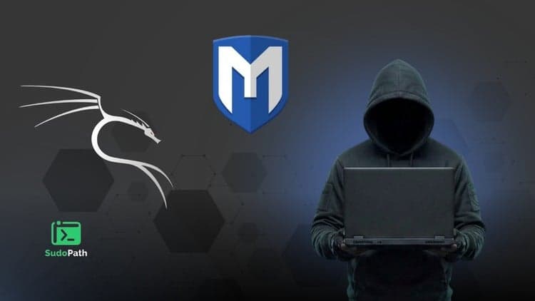 Modern Metasploit Pro : From Basic to Advanced Tradecraft