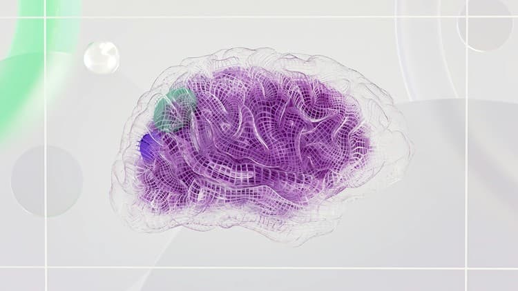 Stem Cells & AI in Drug Discovery: iPSCs and Organoids 101