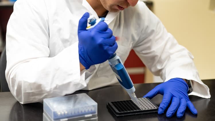 Complete Guide to Enzyme Linked Immunosorbent Assay (ELISAs)