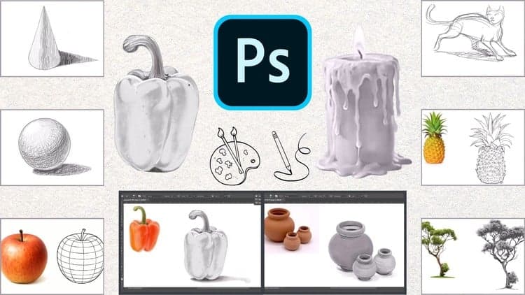 Learn to Draw - Complete Beginner’s Drawing Course