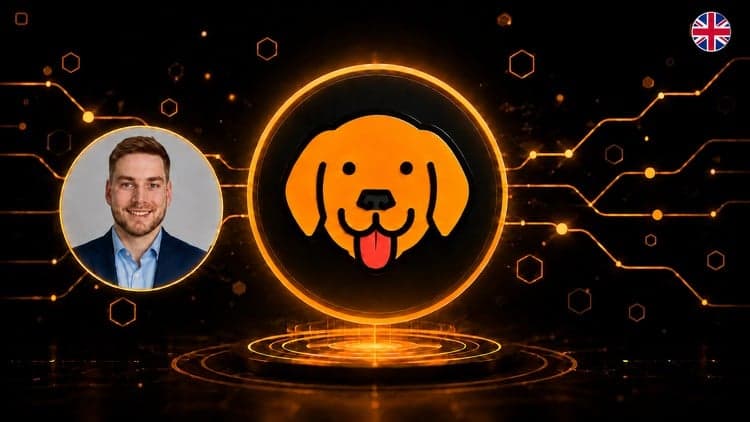 API Testing with Bruno: A Git Alternative to Postman